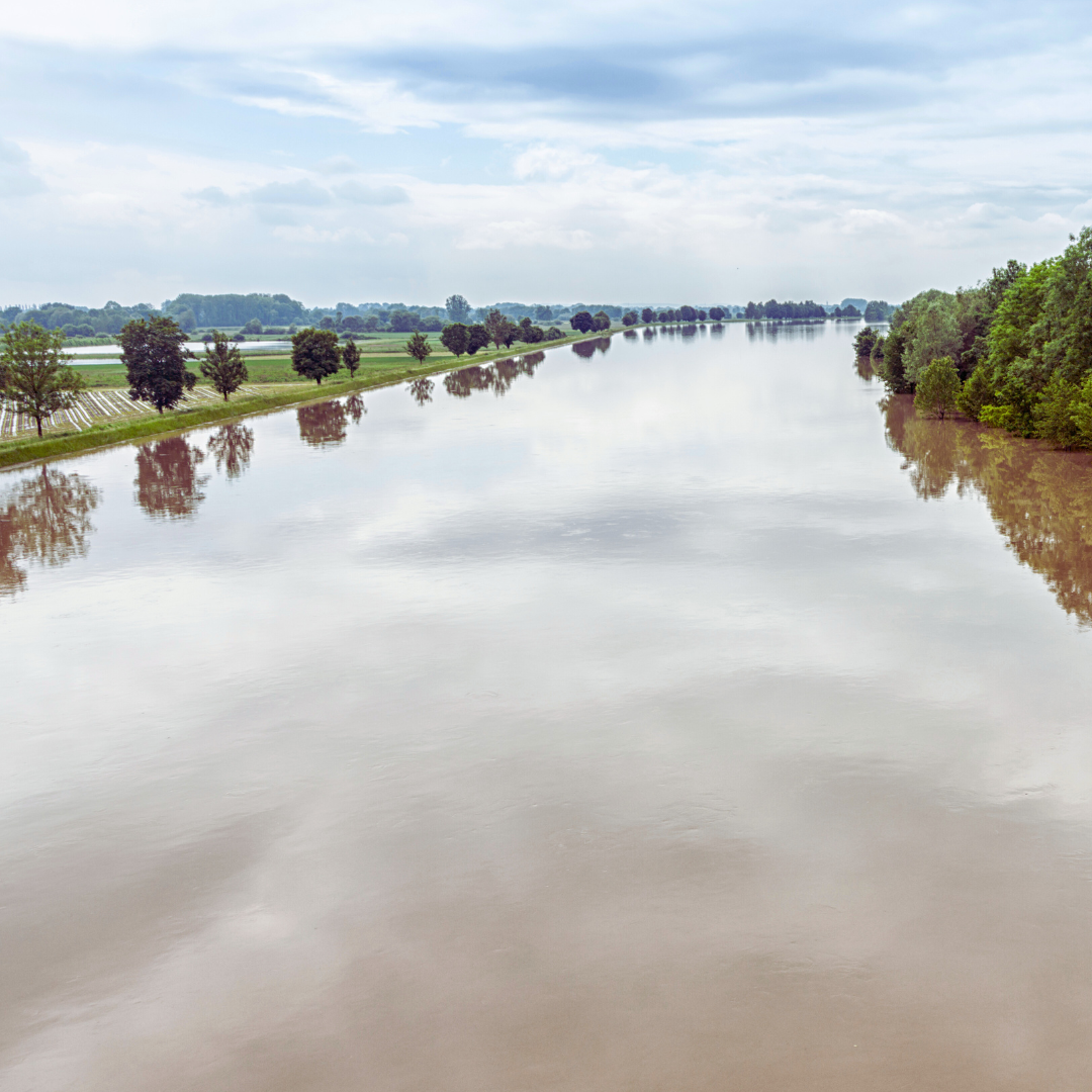 Roszczenia odszkodowawcze właścicieli gruntów rolnych zalanych podczas powodzi
